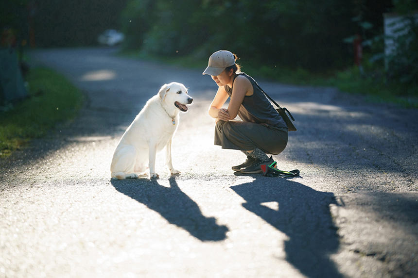 Dog Snapshot R 令和の犬景Vol.42　リタイア犬「マメスケ」こと「マルコ」が『日本写真絵本大賞』で受賞！