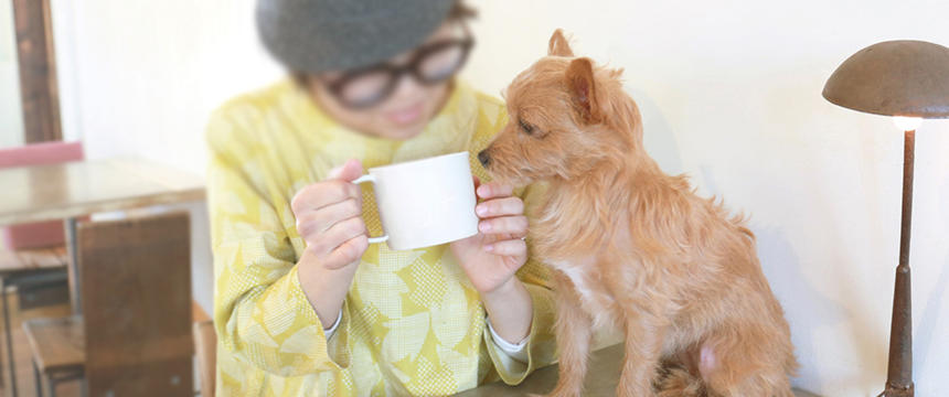 【要注意！】犬に与えられない飲み物は？理由と対策を紹介