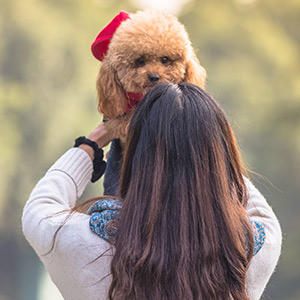 犬の名前にも流行がある 犬の名付け方の傾向を調べてみた プレミアムドッグフード専門店 通販 Pochi ポチ公式サイト