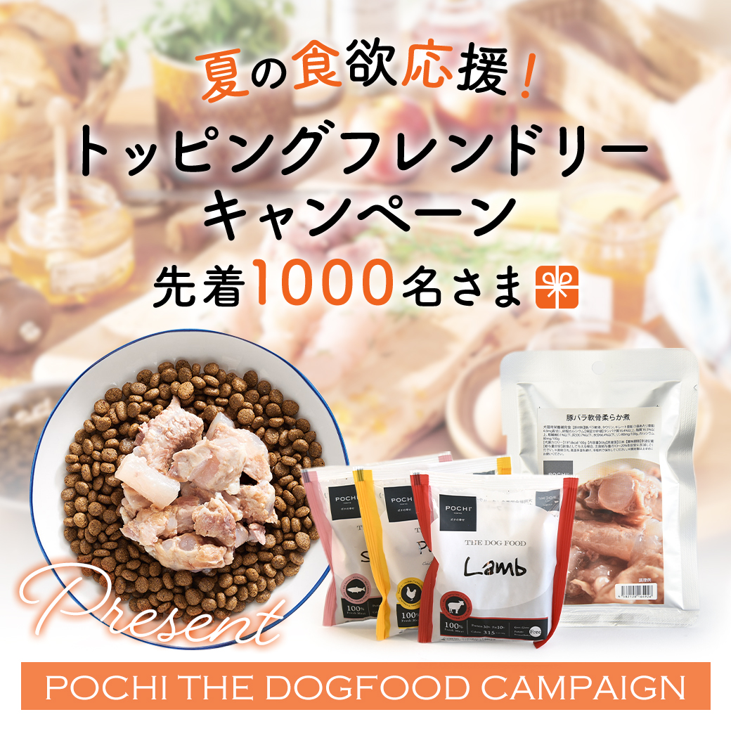 POCHI THE DOGFOOD（ザ・ドッグフード）のキャンペーン