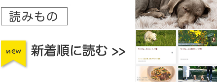 ポチメディア 読みもの