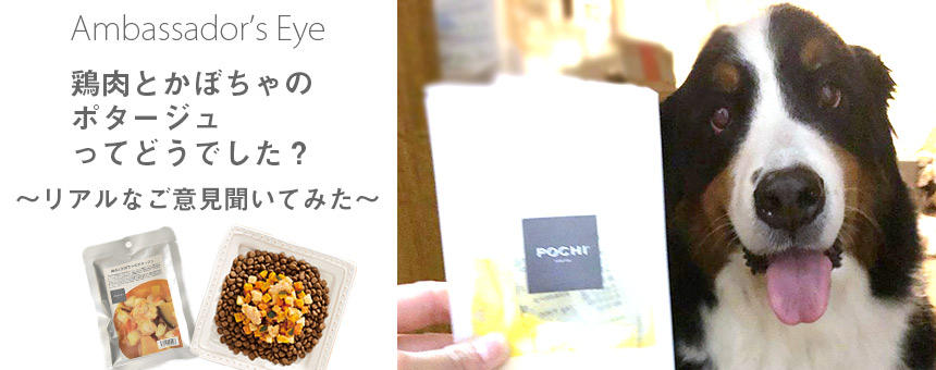 鶏肉とかぼちゃのポタージュってどうでした？リアルな声を聞いてみた。《orionくん編》