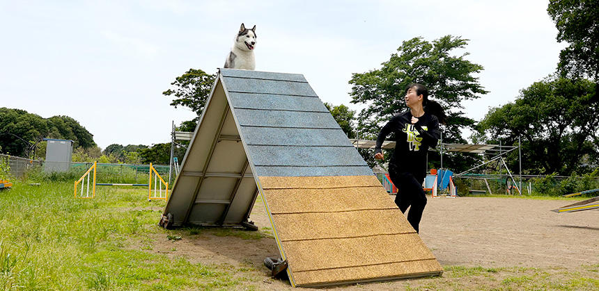 Ａフレームを颯爽と駆け抜けるオズくん