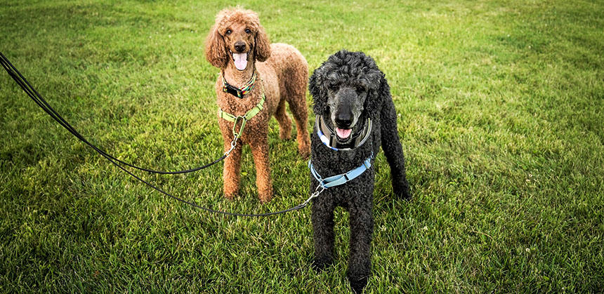 運動は中医学的には水分や老廃物を輩出するためや、ストレス軽減のために大切