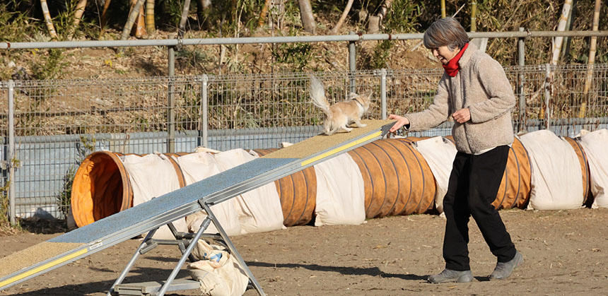 こうやって目が合う瞬間、一体感を感じられるそうです