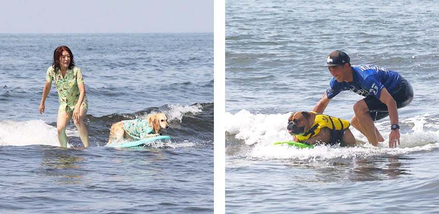 犬とのペアルックなど、見どころ満載！