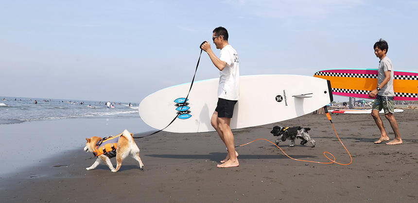 早く海に入りたくて飼い主さんより先を行くみみちゃんと、みかんちゃん