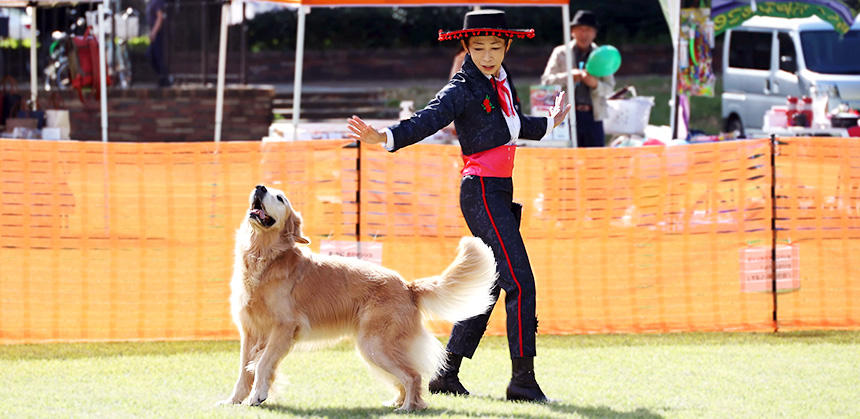 大きな犬はどんな動きをしても目を引きます