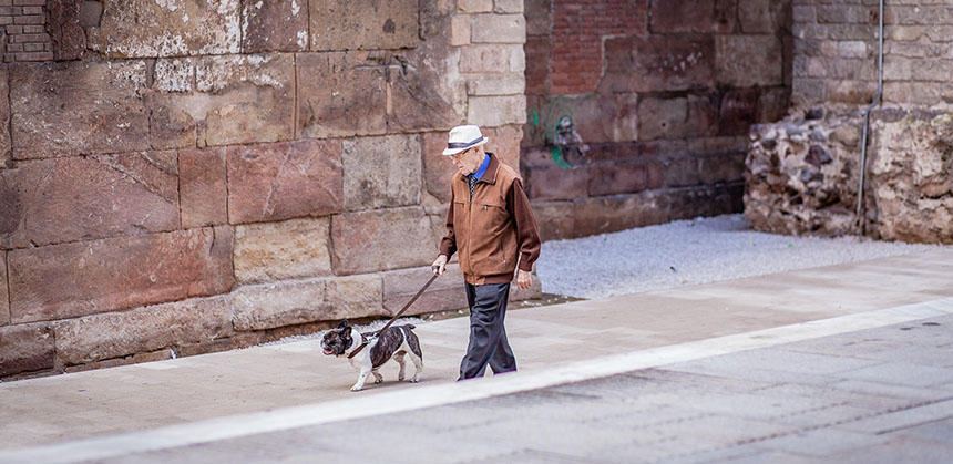スペインの犬の散歩風景。人口約4760万人のスペインには約950万頭の犬が飼育されていると言われています