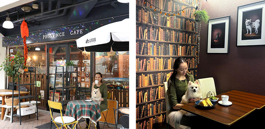 小型犬から大型犬まで、何頭でも飼い主さんとくつろげるプロバンスカフェ