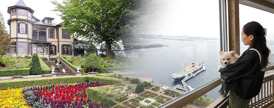 【＃犬とお出かけ】横浜の西洋館～元町～マリンタワーを犬とめぐる