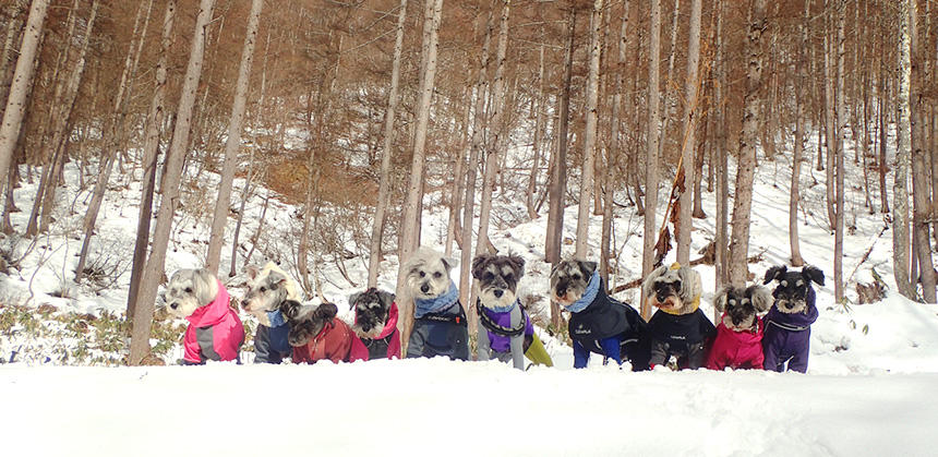 防寒着とブーツを着用させての、雪のシーズンもまた楽しい！