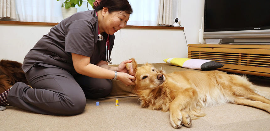 かかりつけ動物病院とは役割が違うからと、往診動物病院と使い分ける飼い主さんも多数