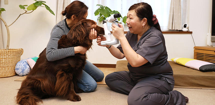 自宅診療時は飼い主さんが頼もしい「うちの子スペシャル看護師」