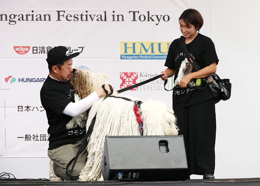 ステージ上で飼い主さんに甘えるコモンドール