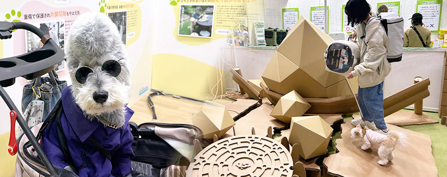 インターペットで最新のサービスや犬事情を知る！