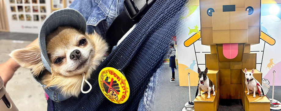 インターペット東京2026で最新サービスや犬事情を知る！