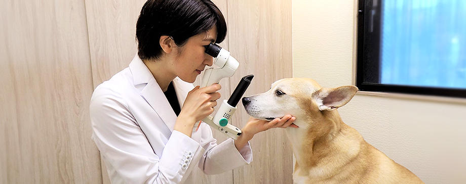 【＃大きな犬と】健康診断で健康寿命を延ばそう！