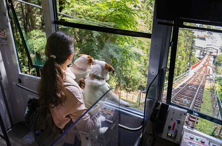 「山にはムササビやカモシカがいるらしいよ。においでわかるかな？」