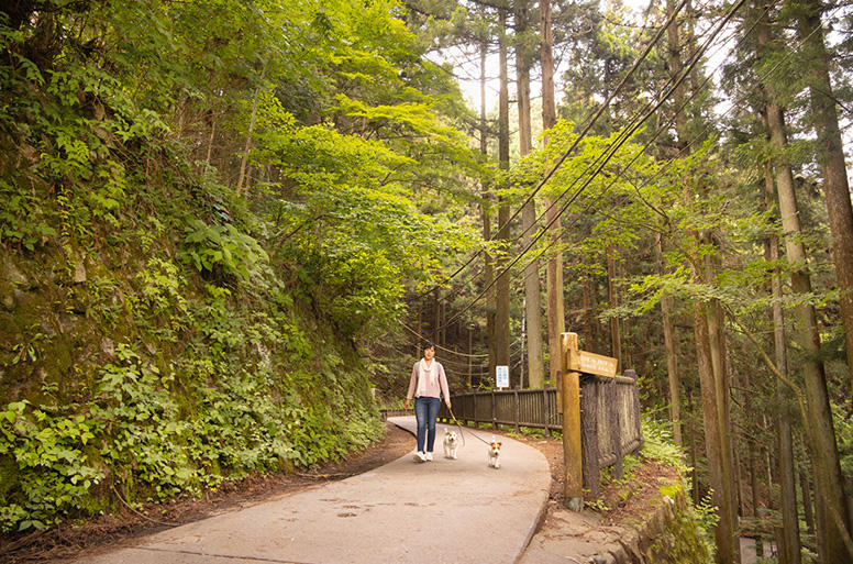 集落の手前。木々の葉音や森の香りを楽しみながらのんびりお散歩