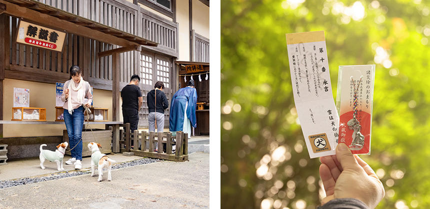 愛犬みくじをひき、おまもりを授かり（購入し）ました