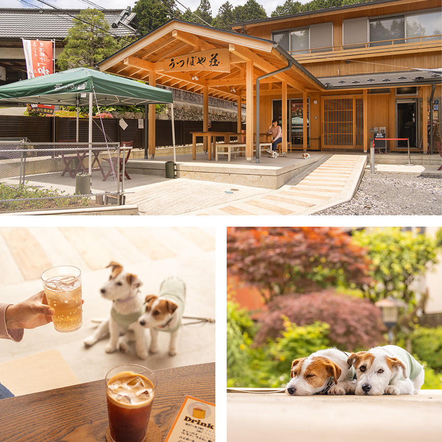 うつぼや荘の敷地内に併設された、開放感あふれるカフェ。ジンジャーエールなどドリンクはテイクアウトも可能。奥多摩の地ビールもあります