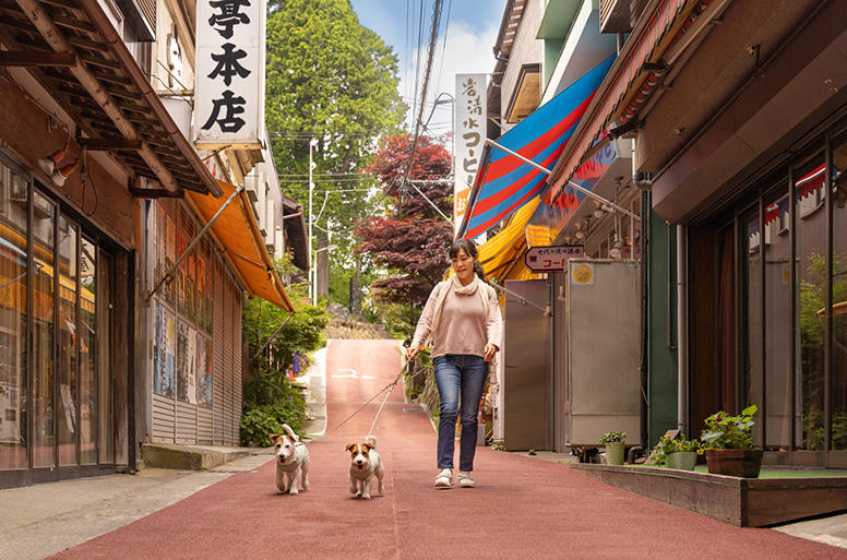 小鳥のさえずりが響く商店街を散策