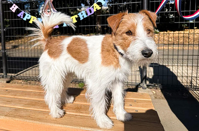 家族みんなでお出かけをするのがバジルくんの楽しみのひとつ