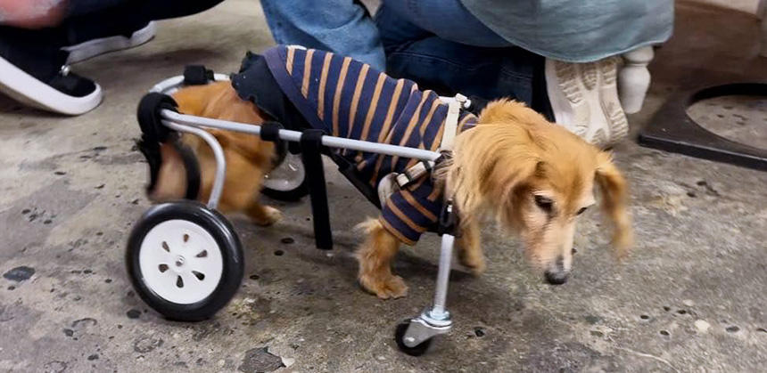 車椅子に乗ると自由に動ける喜びや自信を取り戻して、表情が明るくなります