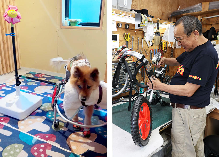 「このような報告写真を見るのも、学びと励みになります」と木口さん