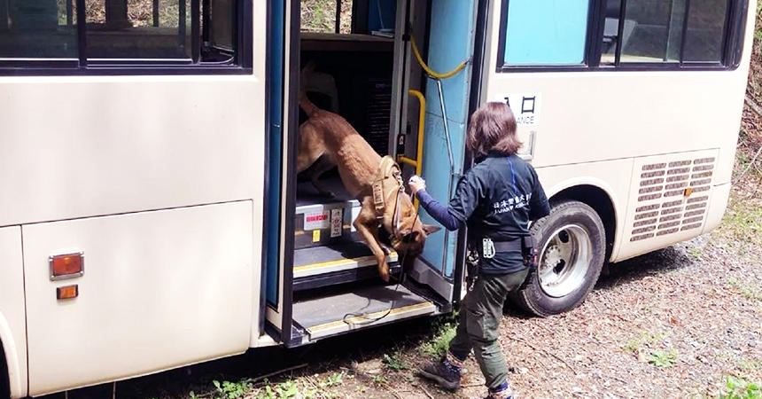 探知業務のトレーニング（写真：日本警備犬協会提供）