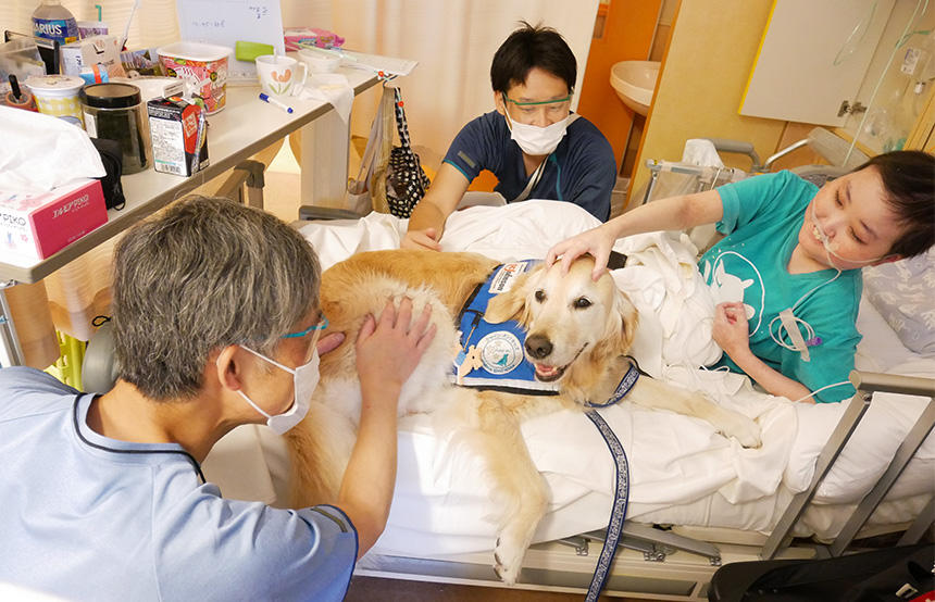 ホスピタル・ファシリティドッグ®はほとんど毎日、病室のベッドなどで子どもたちに寄り添いながら癒し励ましています