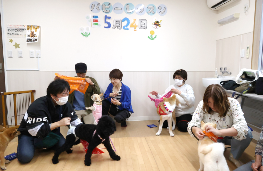 バンダナを巻くタイムを競うプログラムは、飼い主さんも真剣！