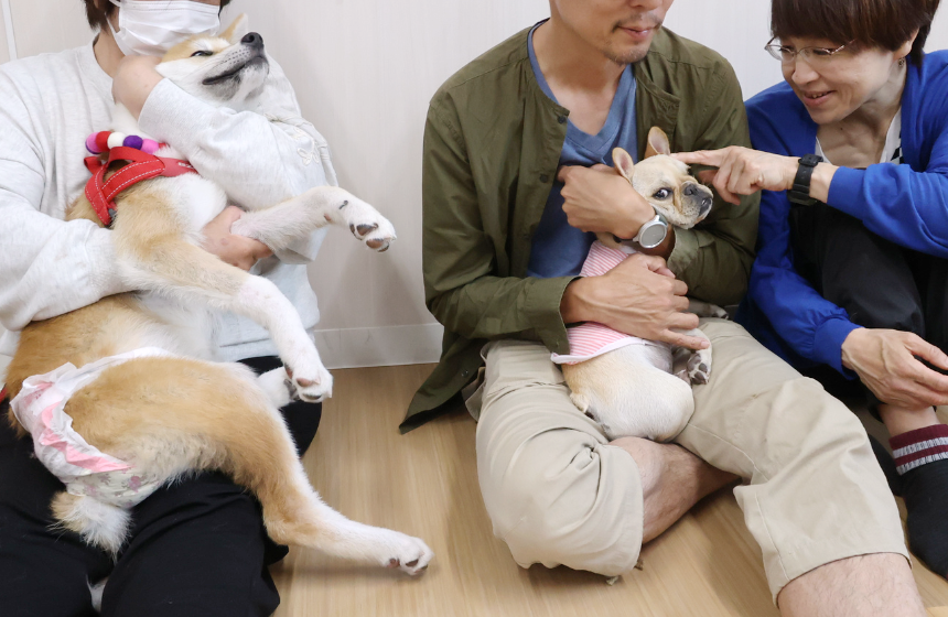 一度しかない社会化期に貴重な経験となるのがパピーパーティーです