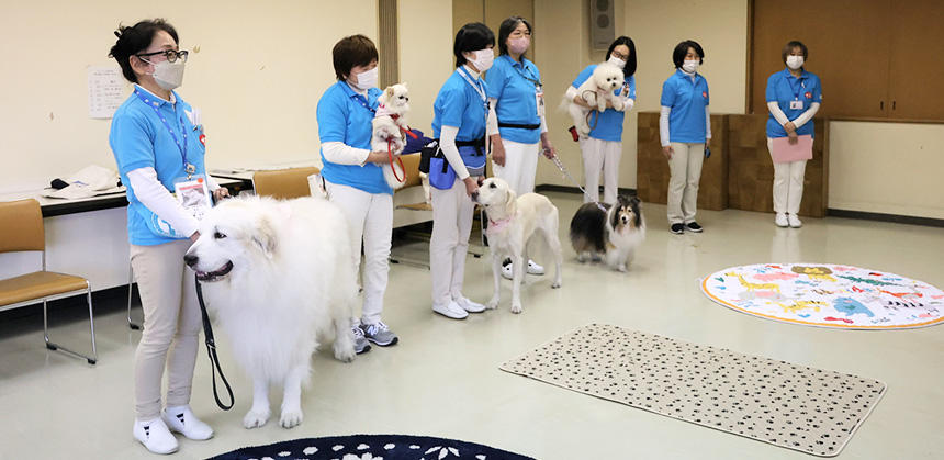 三鷹図書館で“読書サポート犬”として紹介されたJAHAのCAPP活動犬たち