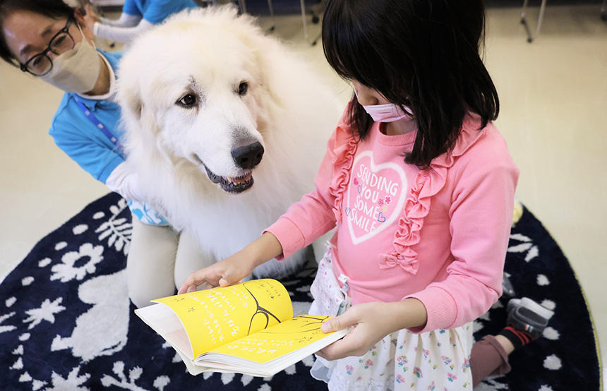 グレート・ピレニーズのラテくんは、時々、優しいまなざしで子どもの顔を見ています