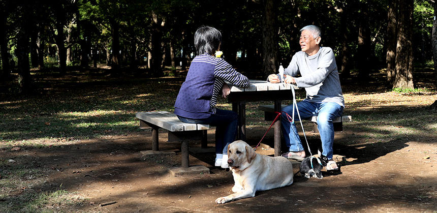 公園で、金澤家のペットたち全員集合！