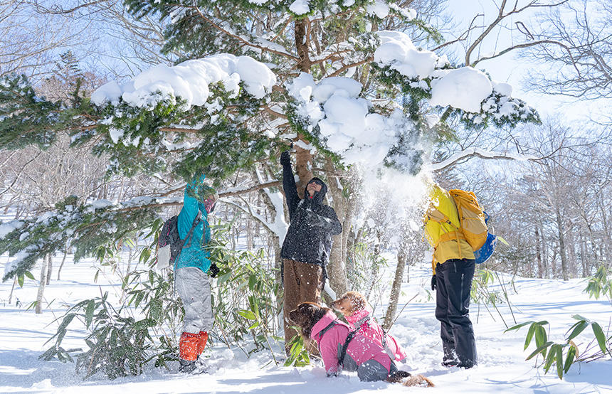 人間は盛り上がって雪を落とすも、犬たちの反応は薄め……！？