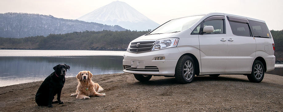 【＃大きな犬と】車中泊で自由に犬連れ旅行を楽しもう！車中泊成功の秘訣をドッグトレーナーが伝授