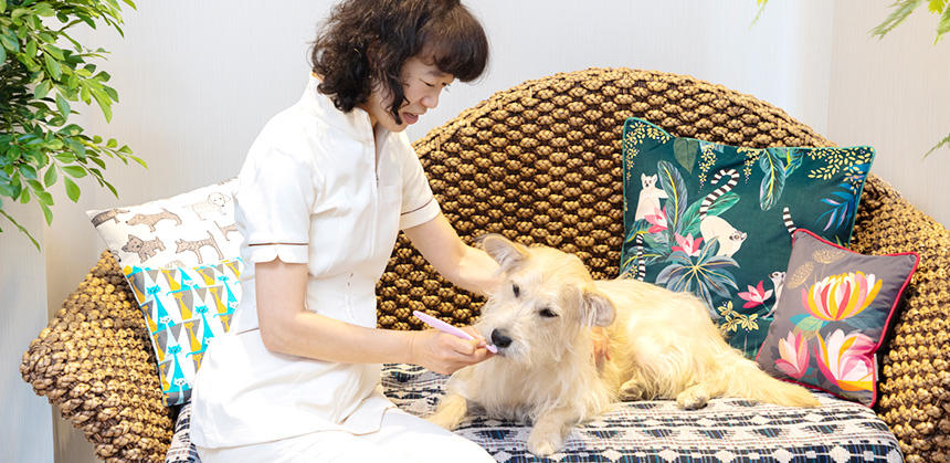 飼い主さんの知識不足による思い込みはせず、気になることがあれば獣医師に相談を