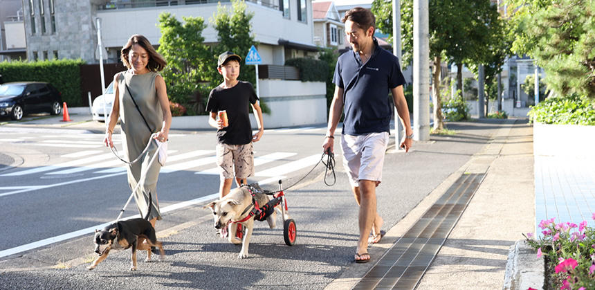 新型コロナ渦（2022年）のお散歩風景