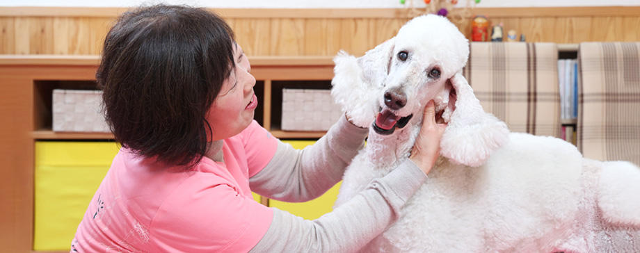 【＃大きな犬と】温活マッサージ５選＆冬の養生生活の秘訣を獣医師が伝授