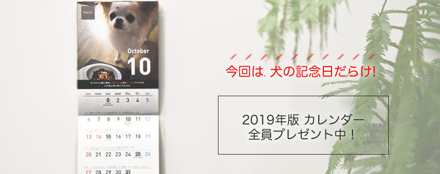 POCHIオリジナルカレンダー2019なら、来年がもっと楽しくなる3つの理由。