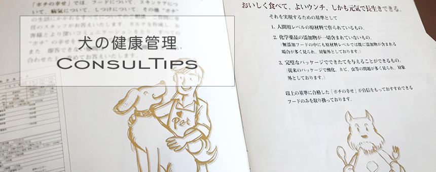 犬のサプリメントと薬の違いとは？～ペット栄養管理士のアドバイス #35