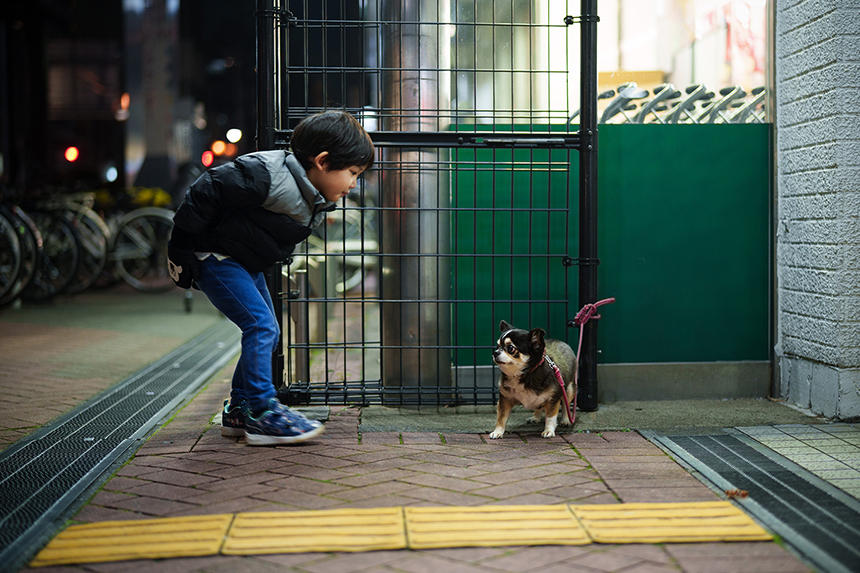 Dog Snapshot R 令和の犬景Vol.10　犬の精神年齢を人に当てはめると？