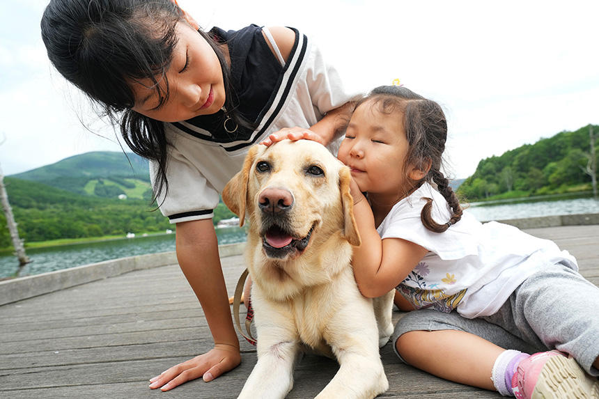 Dog Snapshot R 令和の犬景Vol.18　夏休みの思い出