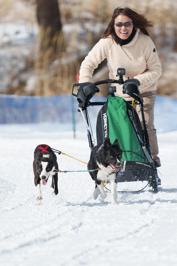 キャンディ、カリと出場した300m2dogレース