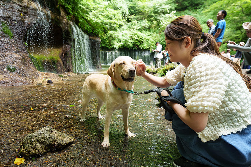 「2024アイメイト・サポートカレンダー」7月の写真（不適格犬奉仕）