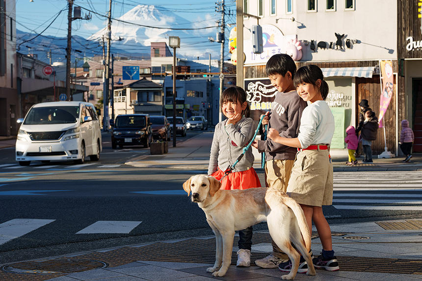 「2024アイメイト・サポートカレンダー」1月の写真（飼育奉仕）