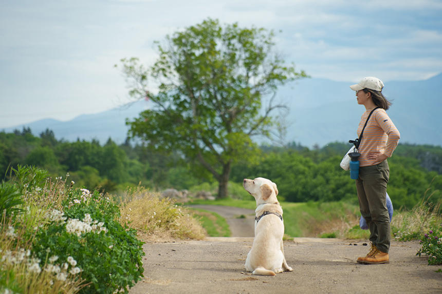 Dog Snapshot R 令和の犬景Vol.39　「散歩道の開拓」が「犬がいる生活」のQOLを上げる？